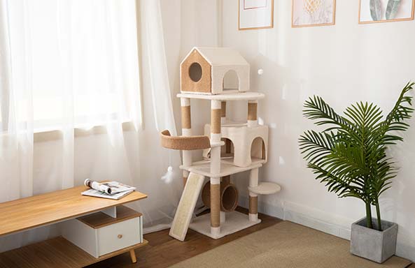 Where should I put my cat tree?