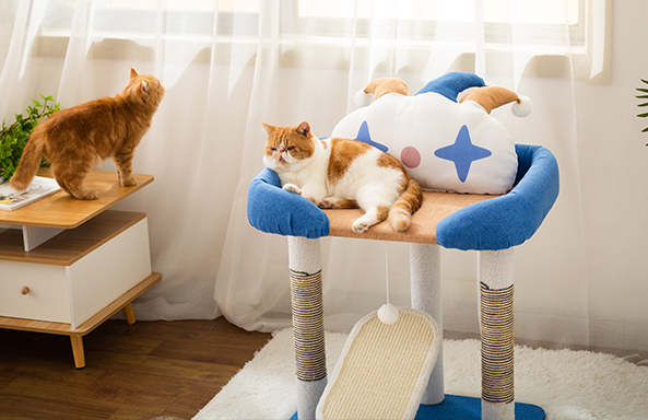 What to consider when looking for in quality cat furniture?