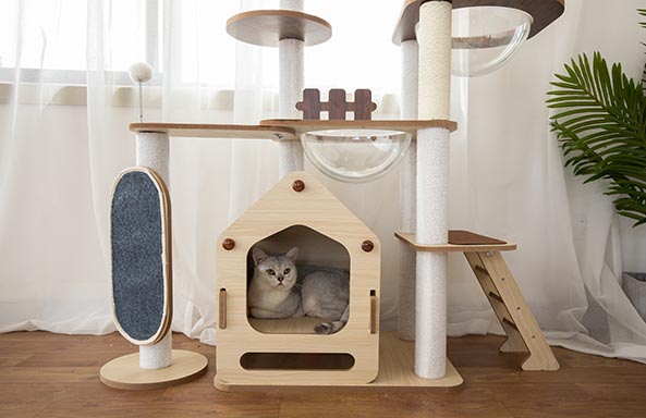 What size cat tree should I get?