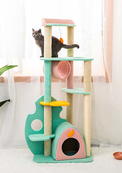 CSYL Cat Climbing Tree