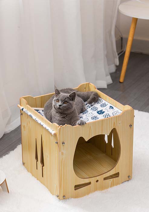 MZW Square cat house