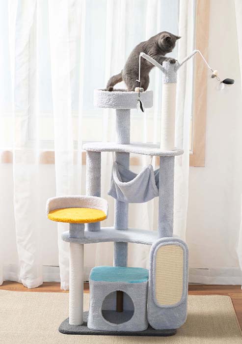 TKZC cat climbing tree