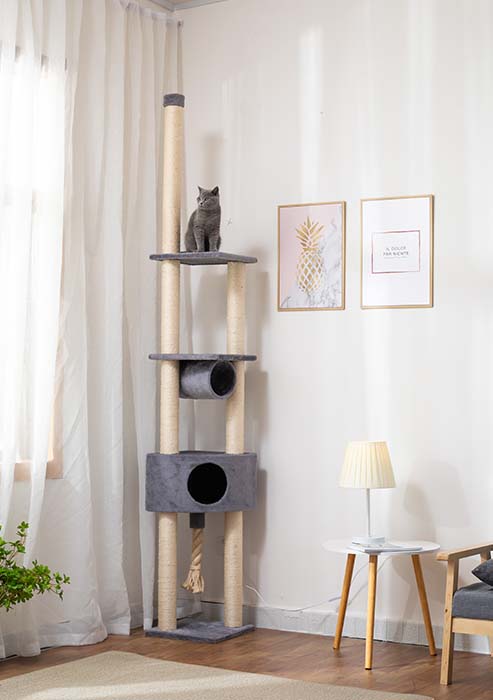 TTZ cat climbing tower