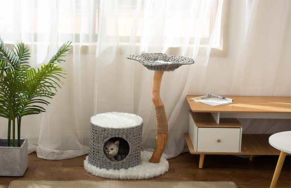 Where should I put my cat tree?